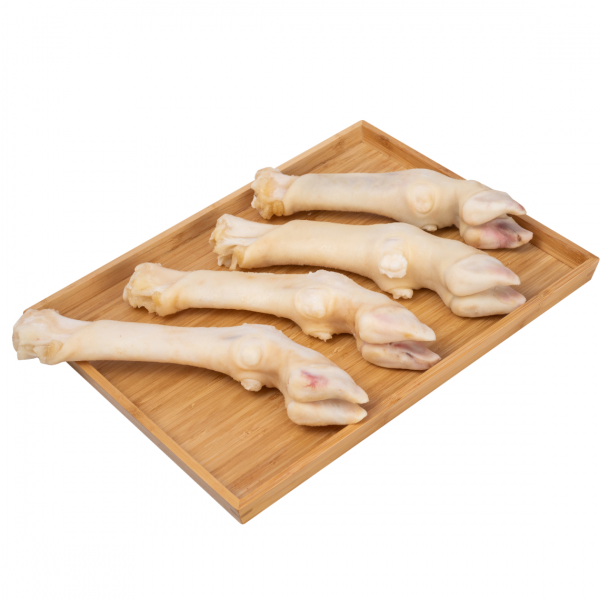 Poultry