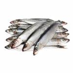 Seafood